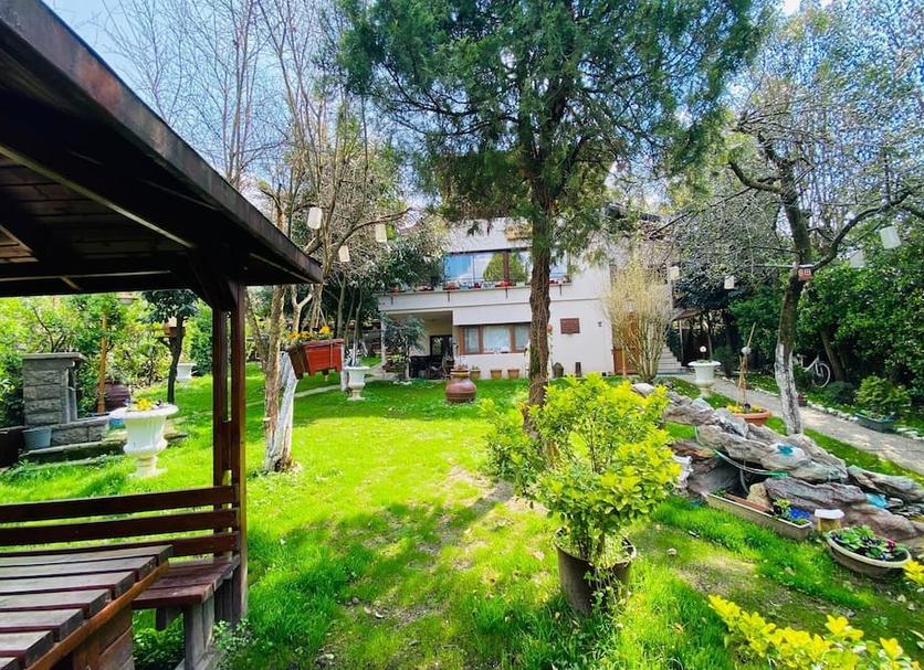 Outdoors view Photo