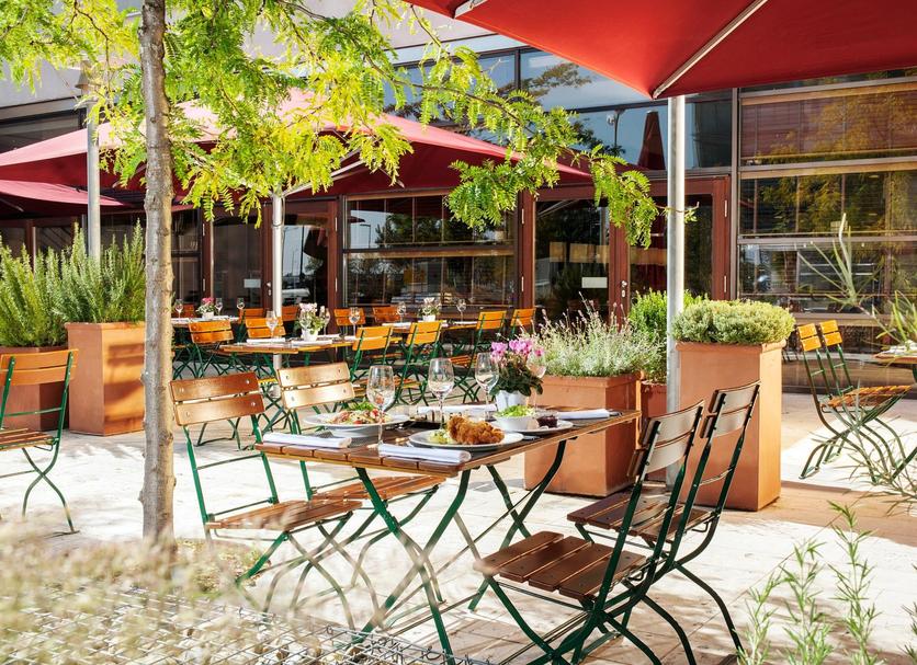 Patio Photo