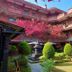 Hotel Siddhi Manakamana, Kathmandu: courtyard with manicured shrubs, pink flowering tree, and brick facade
