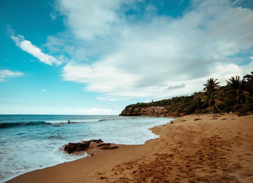 Beach Photo
