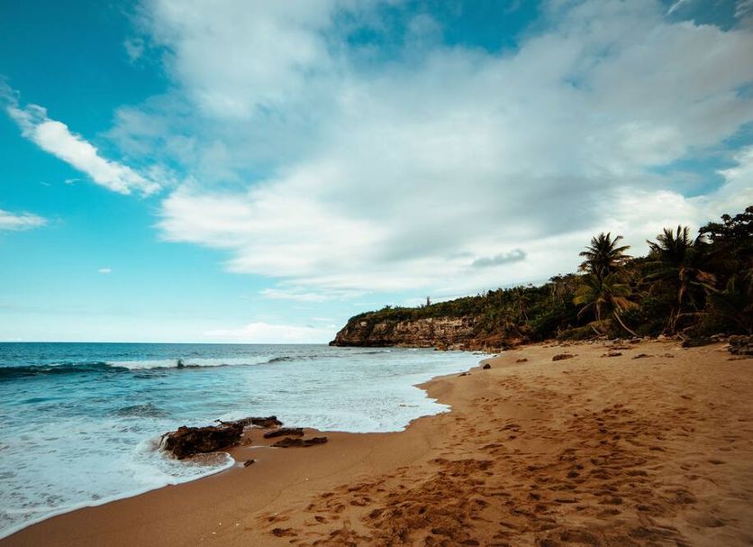 Beach Photo