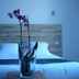 Hôtel En Ville in Aix-en-Provence bedroom with orchid vase on a bed and wood headboard