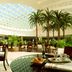 DoubleTree by Hilton Hull atrium lounge with palm trees and glass roof in Hull