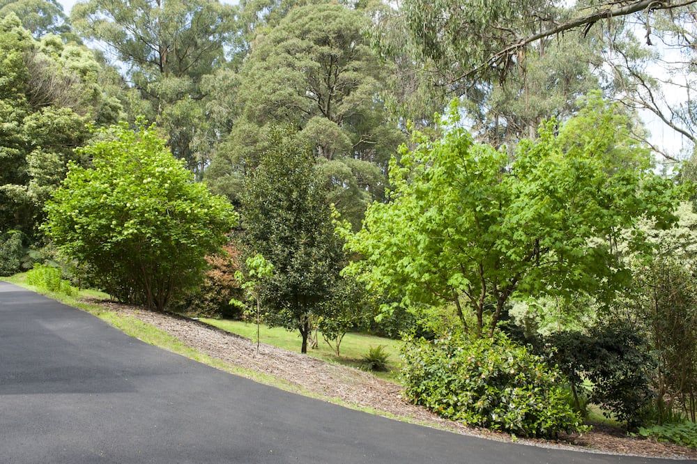 Outdoors view