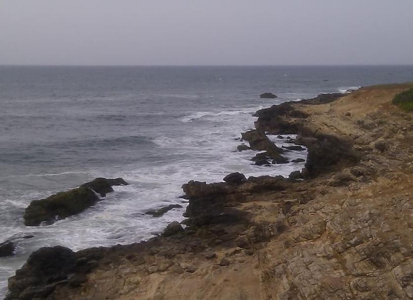 Other Photo