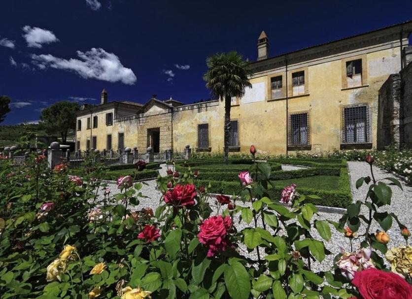 Other Photo