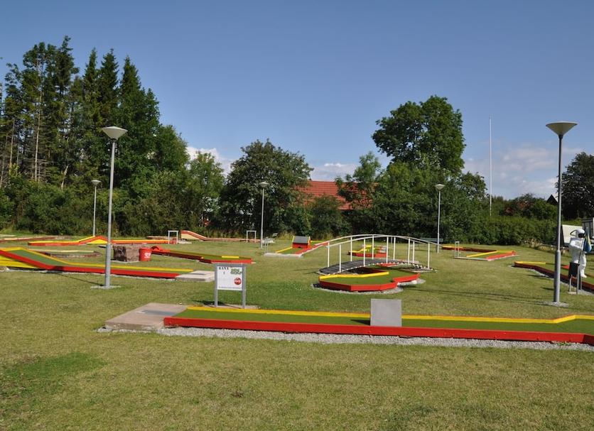 Other Photo