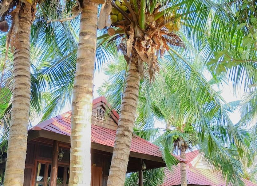 Outdoors view Photo