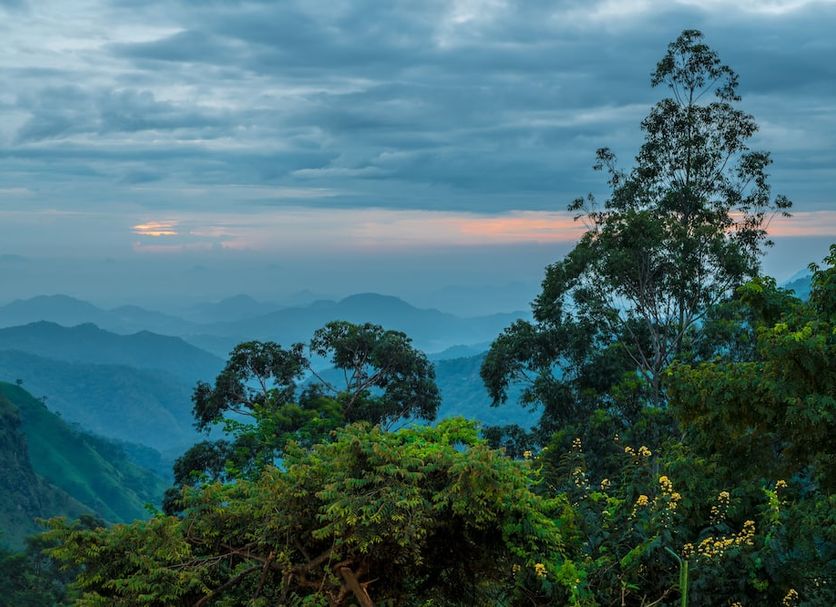 Ekho Ella in Ella with misty mountain valley views at sunset