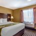 Quality Inn & Suites Westminster Seal Beach guest room with king bed, bedside lamps and window