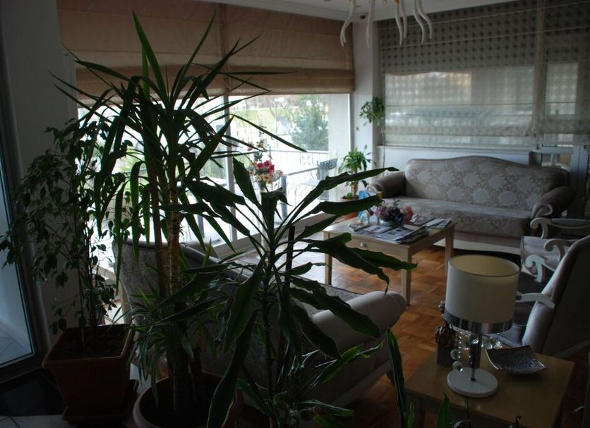 Other Photo