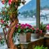 Kenta Beach Hotel in Agios Ioannis with sea view, flowers, and lanterns by a seaside window