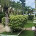 Fun Holiday Beach Resort in Negril with palm trees, lush garden paths, and resort buildings