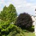 Outdoors view