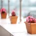Boutique Princess Hotel Istanbul terrace with potted pink flowers along a glass railing