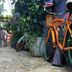 Coqui del Mar Guesthouse in San Juan with colorful bicycles parked along a leafy courtyard path
