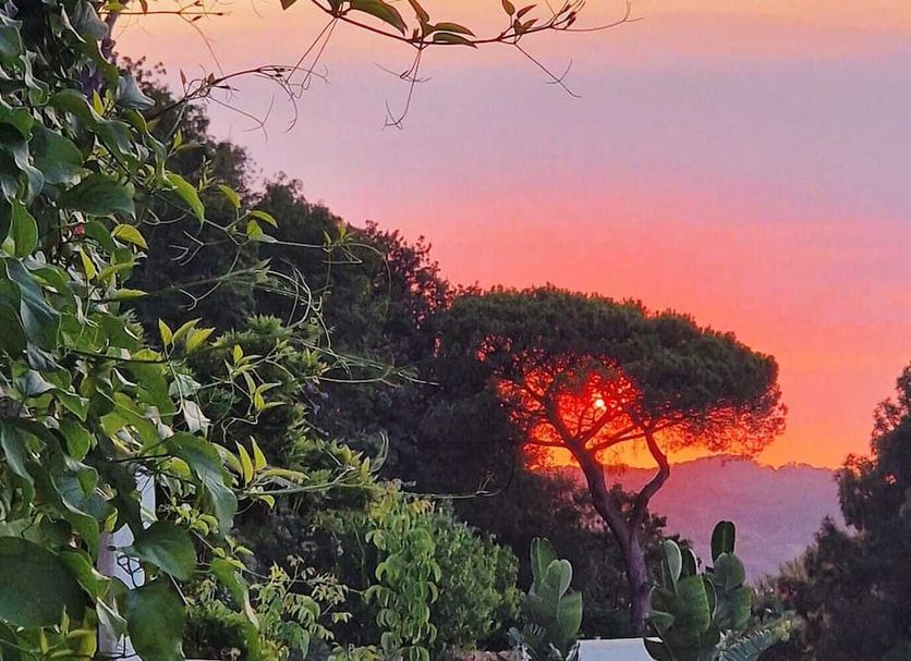 Hotel Parco Conte in Casamicciola Terme with sunset views over trees and hillside