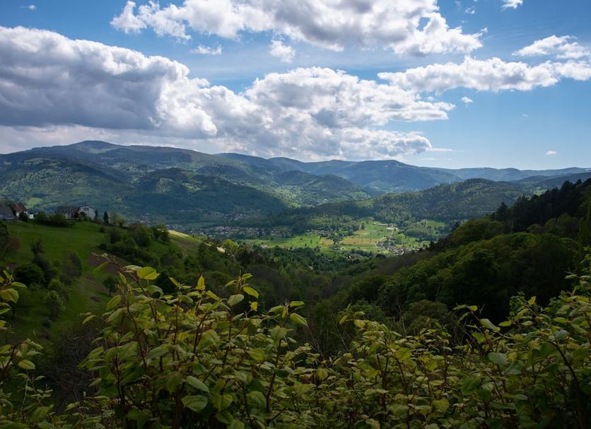 Outdoors view Photo