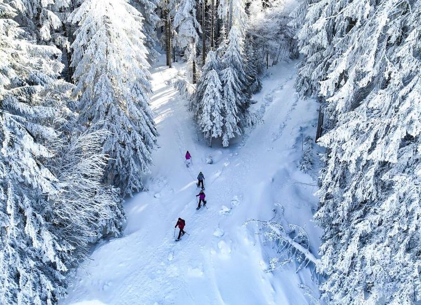 Nature Titisee - Easy.Life.Hotel in Titisee-Neustadt: skiers on a snowy forest trail