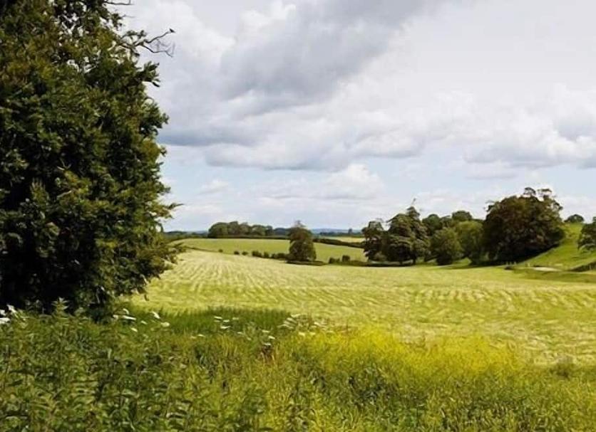 Outdoors view Photo