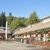 Whittaker's Motel & Historic Bunkhouse in Ashford with rustic motel buildings and forest backdrop
