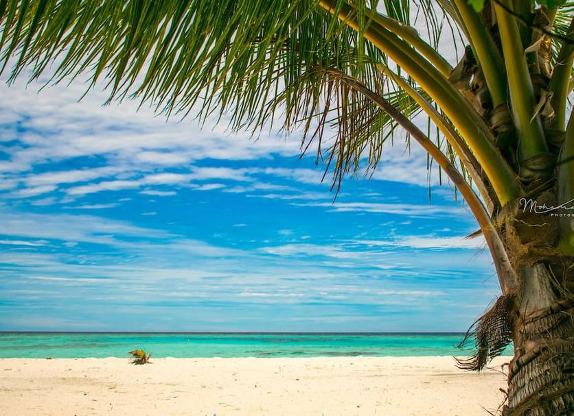 Beach Photo