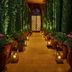 The Hollywood Grande, Autograph Collection in Los Angeles corridor lined with tall greenery and lanterns