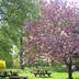 Outdoors view