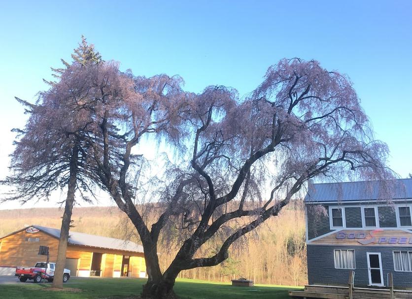 Outdoors view Photo