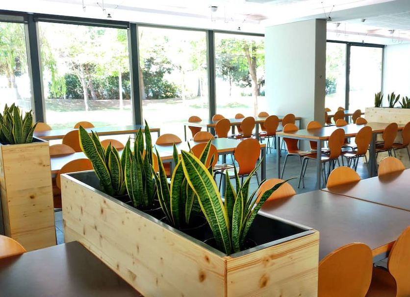 Centre Esplai Albergue dining room with large windows, tables, orange chairs and planter boxes in El Prat de Llobregat