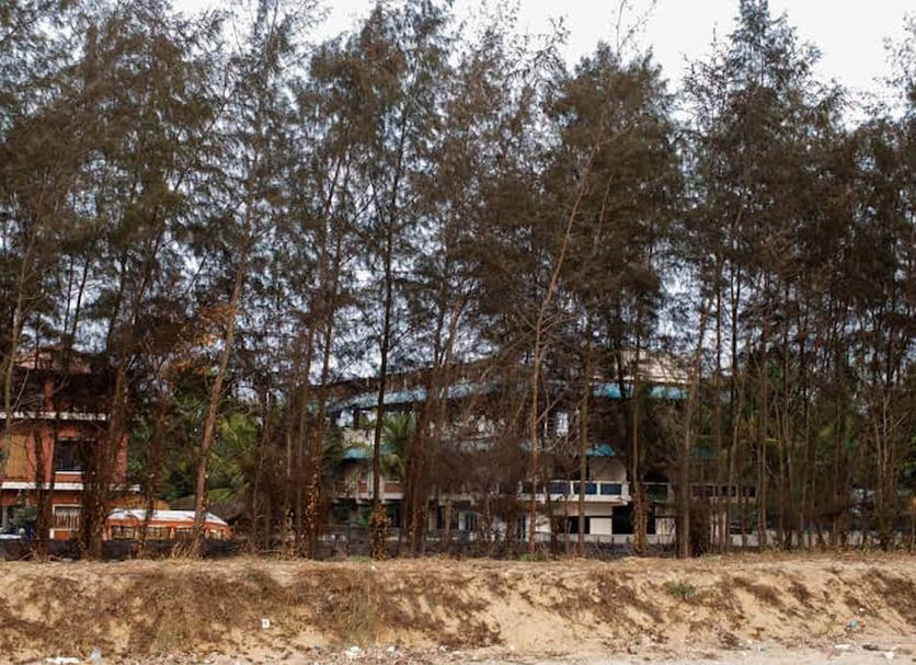 Outdoors view Photo