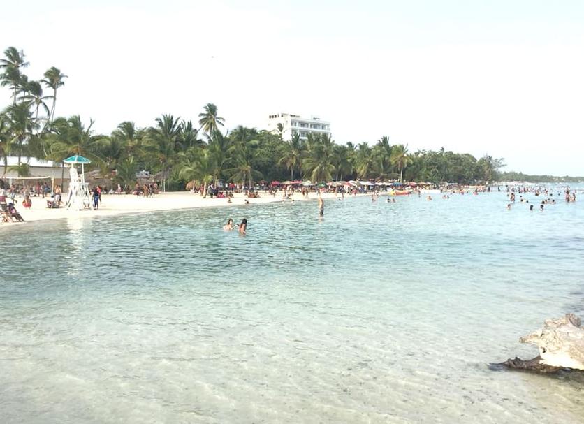Other Photo