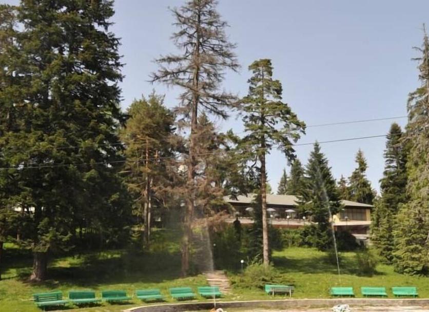 Outdoors view Photo