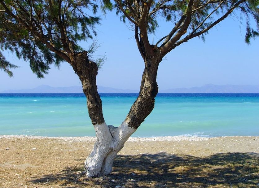 Esmeralda Hotel in Kremastí with a tree-lined beach and turquoise sea view