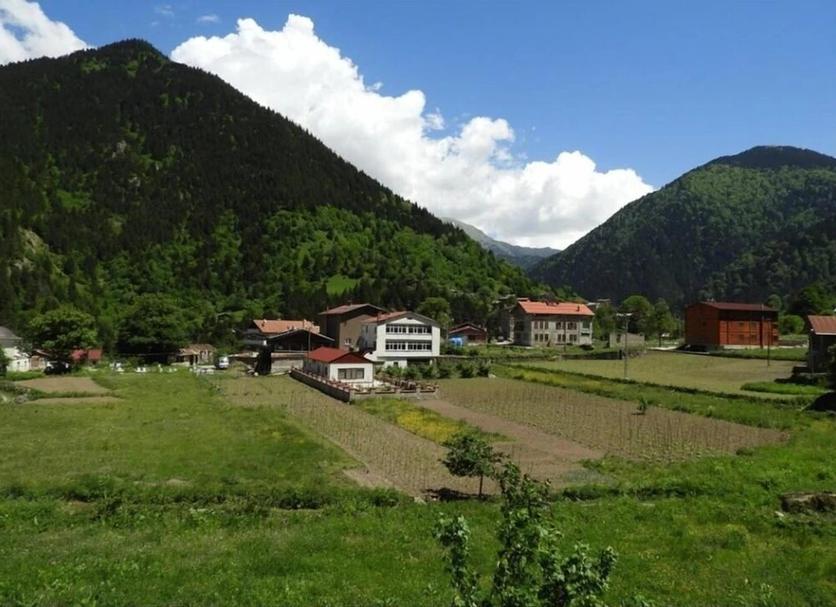 Other Photo