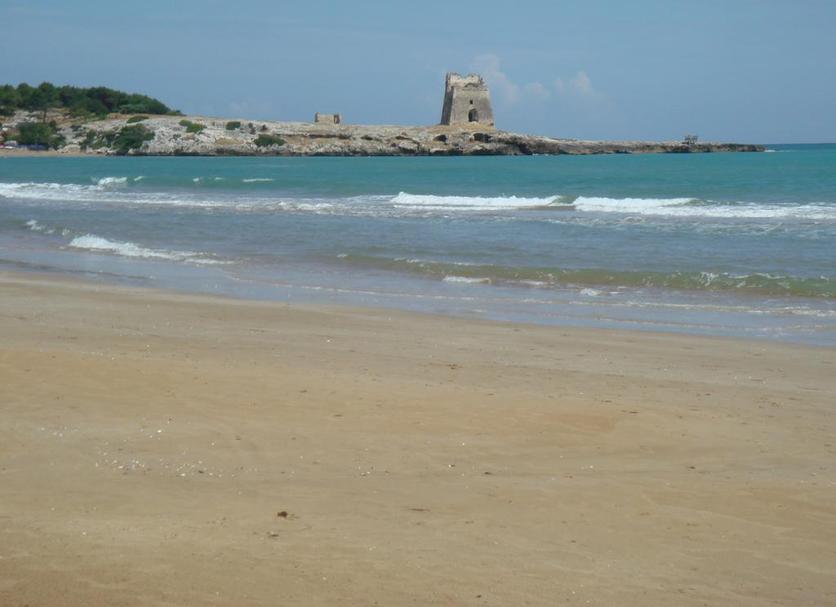 Beach Photo
