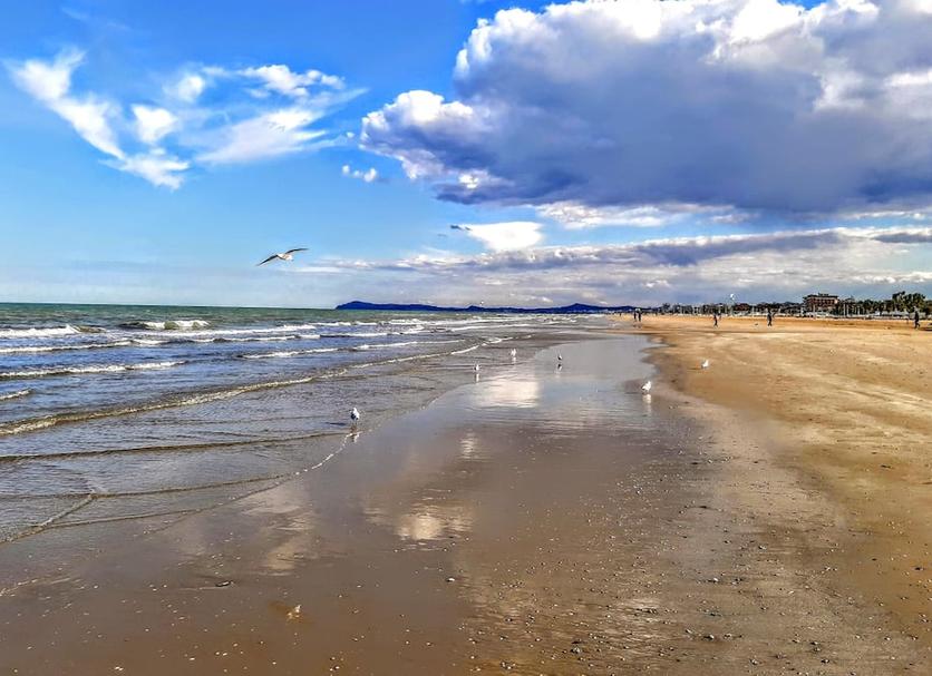 Beach Photo
