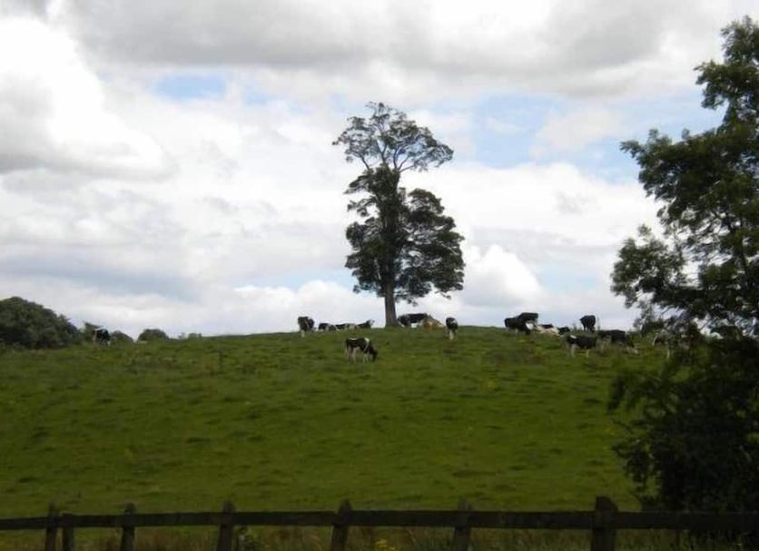 Outdoors view Photo