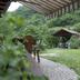 Outdoors view