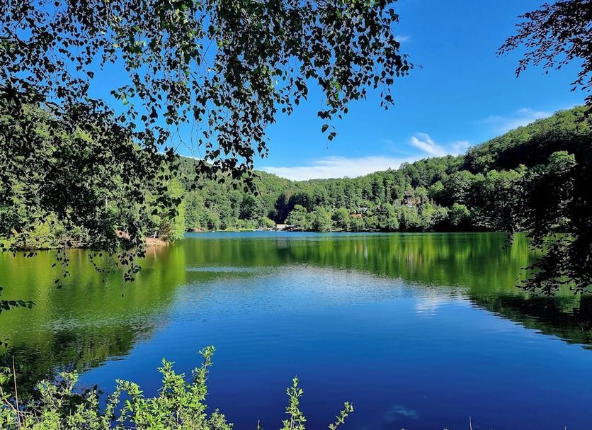 Lake view through trees at Hotel Heikenberg in Bad Lauterberg, with calm water and forested hills
