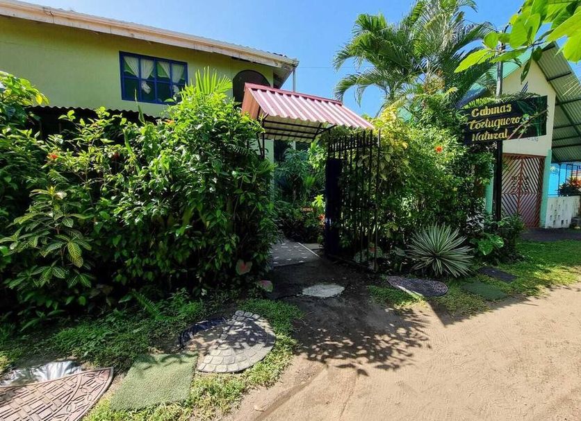 Cabinas Tortuguero Natural in Tortuguero, lush garden entrance with palm trees and path