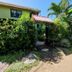 Cabinas Tortuguero Natural in Tortuguero, lush garden entrance with palm trees and path