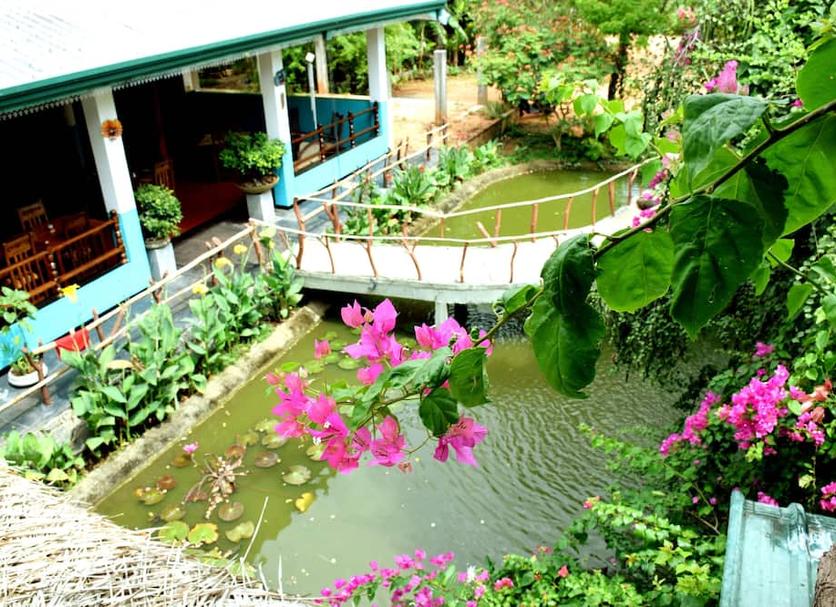 Outdoors view Photo
