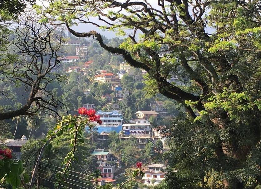 Outdoors view Photo