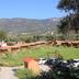 Outdoors view