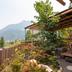 Outdoors view