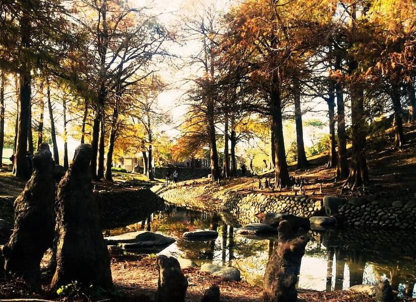 Outdoors view Photo