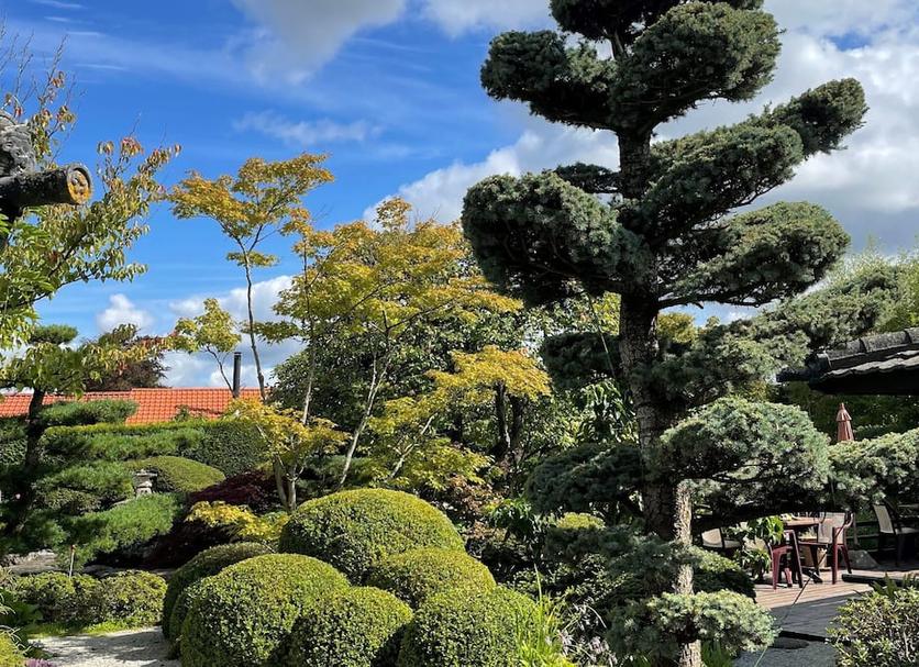 Outdoors view Photo