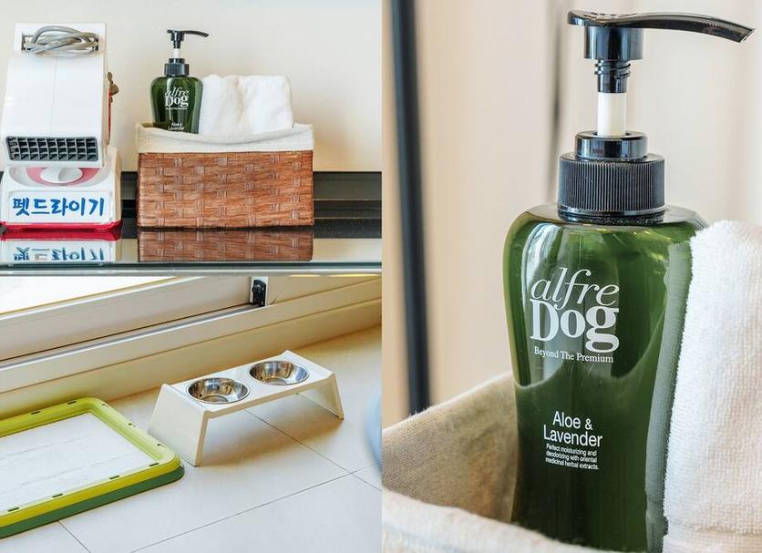 Room amenity Photo