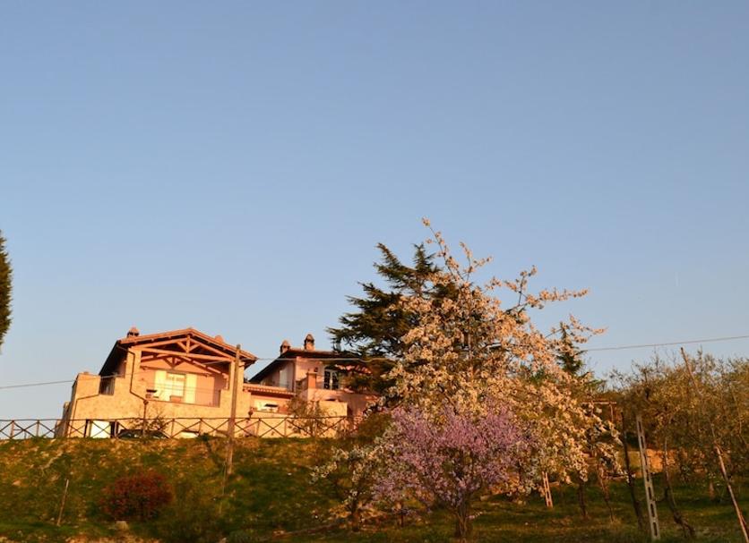 Outdoors view Photo